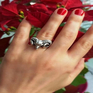 May include: A silver ring with a detailed ram head design. The ring is worn on a finger with red nail polish.