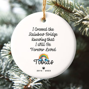 Dog Memorial Ornament, Personalized Rainbow Bridge Gift for Kids, Custom Ceramic Ornament, Pet Memorial Gift, Loss of Cat, Sympathy Gift