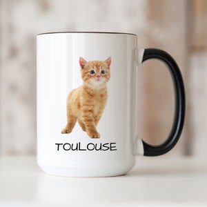 Orange Cat Mug, Personalized Gift for Cat Dad, Adorable Ginger Cat, Coffee Cup for Cat Lovers, Cat Mom Mug, Cat Owner Gift, Birthday Gift