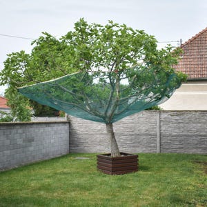 Ossed Collector® M-formaat net voor fruit en bladeren - 540 cm diameter