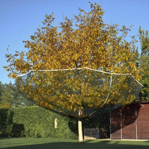 Ossed Collector® L-nät för frukt och löv - 8 m diameter