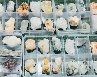 Zeolite & Apophyllite Crystal Collection Box, India (12 Pieces)