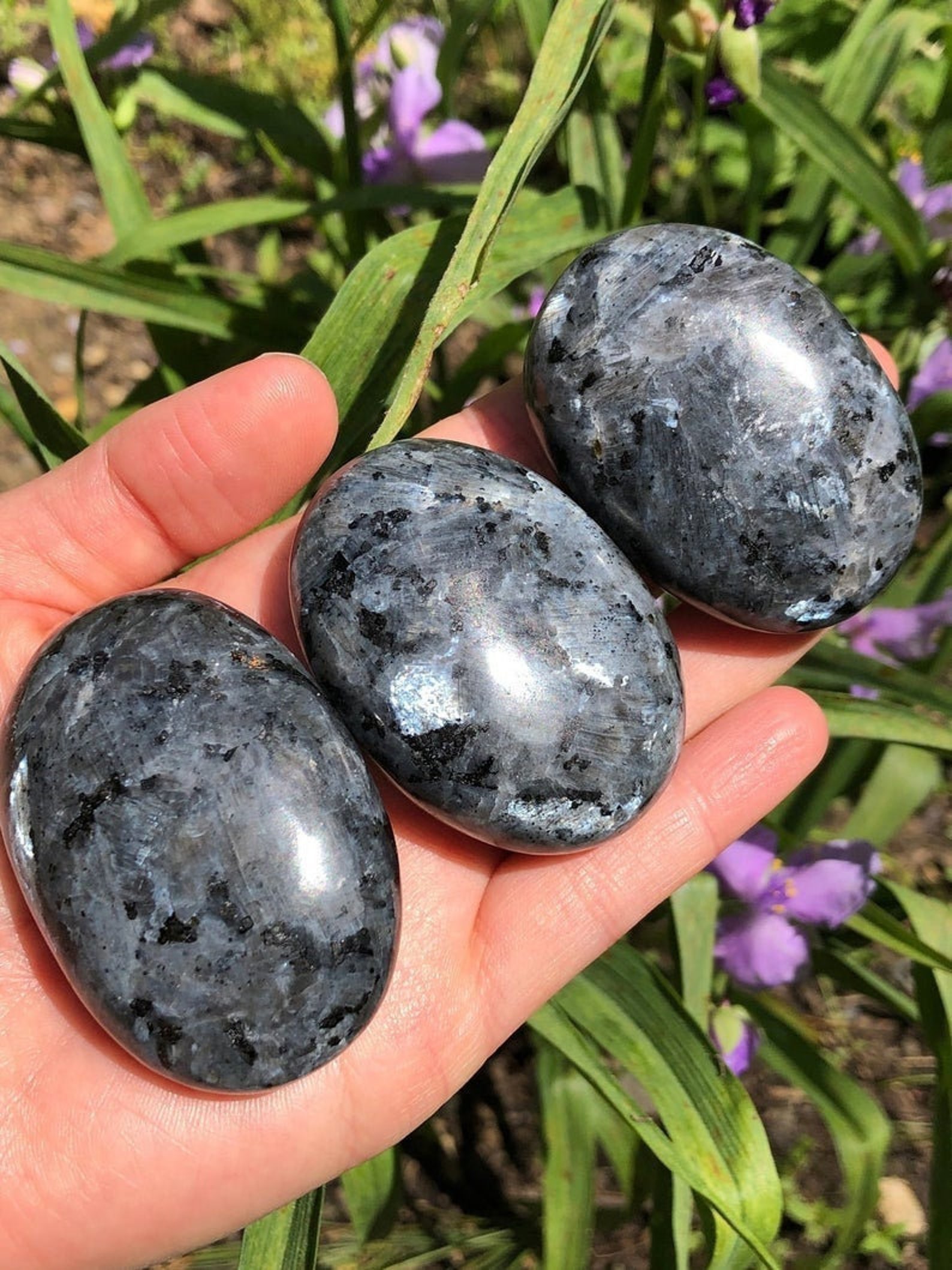 Larvikite Palm Stone Healing Palm Stone EMF Protection | Etsy