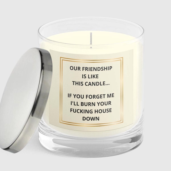 Funny Gift For Her, Scented Candle, Friendship Gift, Funny Gift For Friend, Rude Candle, Swearing Candle, Christmas/Birthday Gift For Friend
