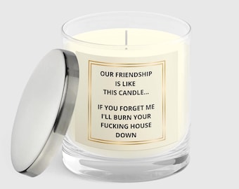 Funny Gift For Her, Scented Candle, Friendship Gift, Funny Gift For Friend, Rude Candle, Swearing Candle, Christmas/Birthday Gift For Friend