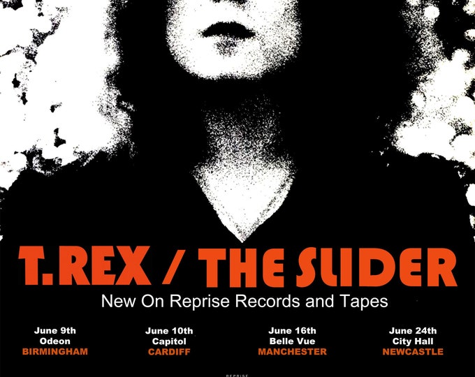18"x24" T Rex / Marc Bolan "slider" Poster - Etsy