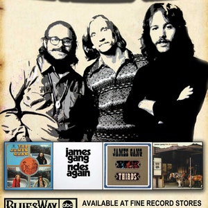 James Gang Joe Walsh &quot;Promo Poster&quot;