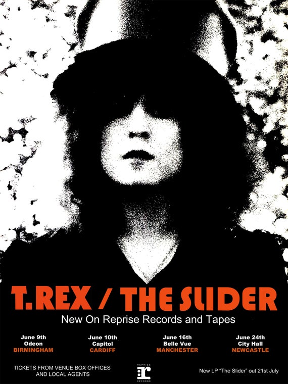 18x24 T Rex / Marc Bolan slider Poster - Etsy Canada