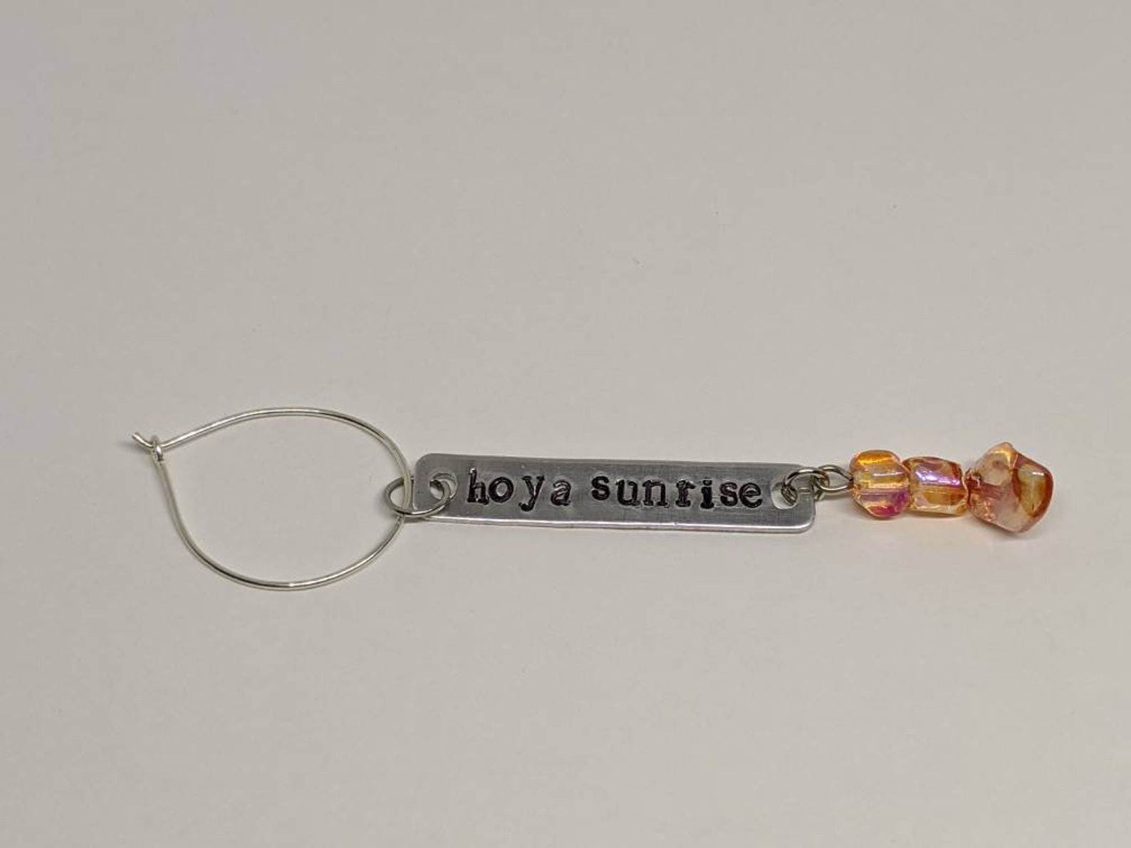 Plant ID Tags Plant Tags Plant Identification Houseplant Etsy