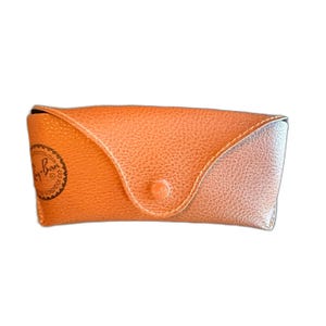 Vintage 2000s Ray-Ban Glasses Case, by Luxottica image 1