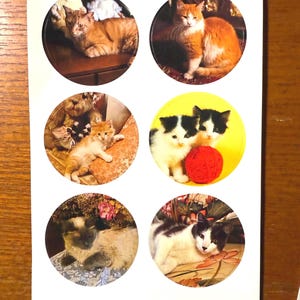 Vintage 1970s Cat Kitty Kitten Sticker Sheet