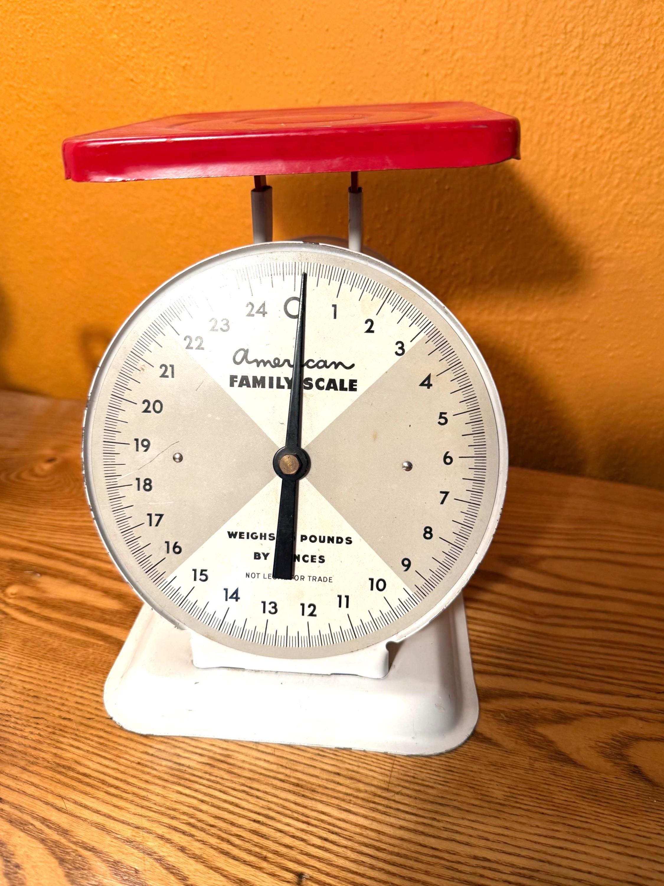 American Family Scale - Etsy
