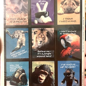 Vintage 1989 Funny Animals Hallmark Sticker sheet
