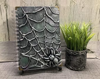 Diario - La araña en la telaraña