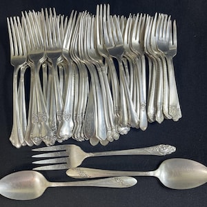 May include: A collection of silver-toned metal forks and spoons arranged together. The forks are standing upright in a dense cluster, while one fork and two spoons are laid horizontally in the foreground. Each piece features a decorative floral pattern.