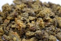 100% Natural Raw Bee Propolis / Fresh Organic / from Clean Region in Bulgaria / HARVEST 2024 / product logo