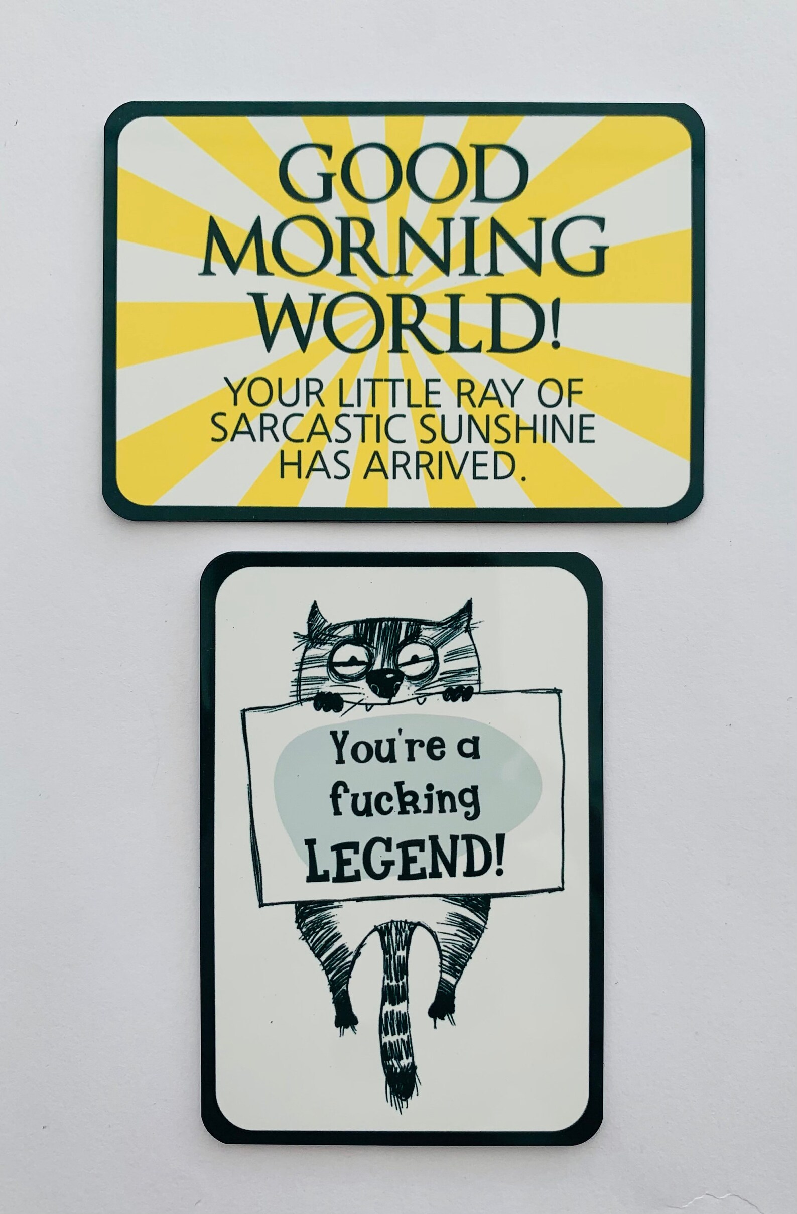 Fridge funny fridge inappropriate gifts Etsy