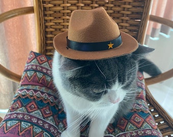 Cat Cowboy Hat with Double Hat Rope / Cat Hat or Small Dog Hat / Pet Hat / Cat Accessory