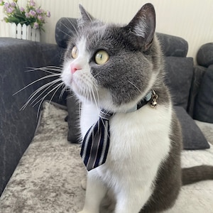 Cat Necktie / Striped Necktie for Cat / Cat Gift