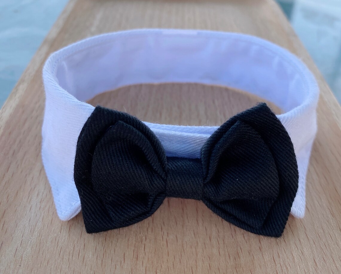 petsmart cat bow tie