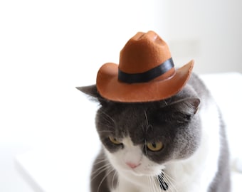Cat Hat,Cowboy Hat