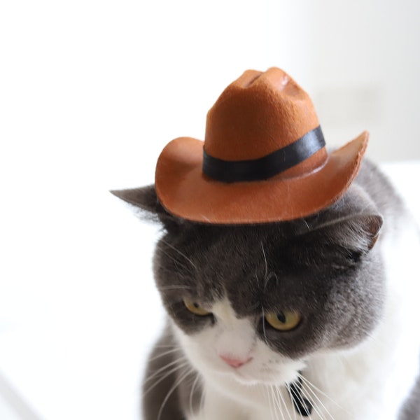 Cat Hat / Cat Cowboy Hat / Small Dog Cowboy Hat / Small Dog Cap / Cat Cap /Gifts for Cat Lovers  / Cat Lovers Gifts Cat Halloween Cosplay