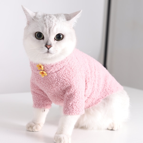 Cat in Pink Outfit - Etsy