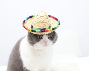 Cat Hat/Dog Hat/Cat Mexican Hat/Dog Mexican Hat/Cat Sombrero Hat/Dog Sombrero Hat/Pet Hat Gift/Pet Mexican Hat/Pet Sombrero Hat/Pet Cap Gift