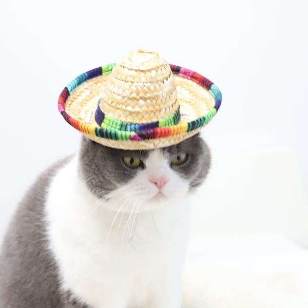 Kat hoed/hond hoed/kat Mexicaanse hoed/hond Mexicaanse hoed/kat Sombrero hoed/hond Sombrero hoed/huisdier hoed cadeau/huisdier Mexicaanse hoed/huisdier Sombrero hoed/huisdier Cap cadeau