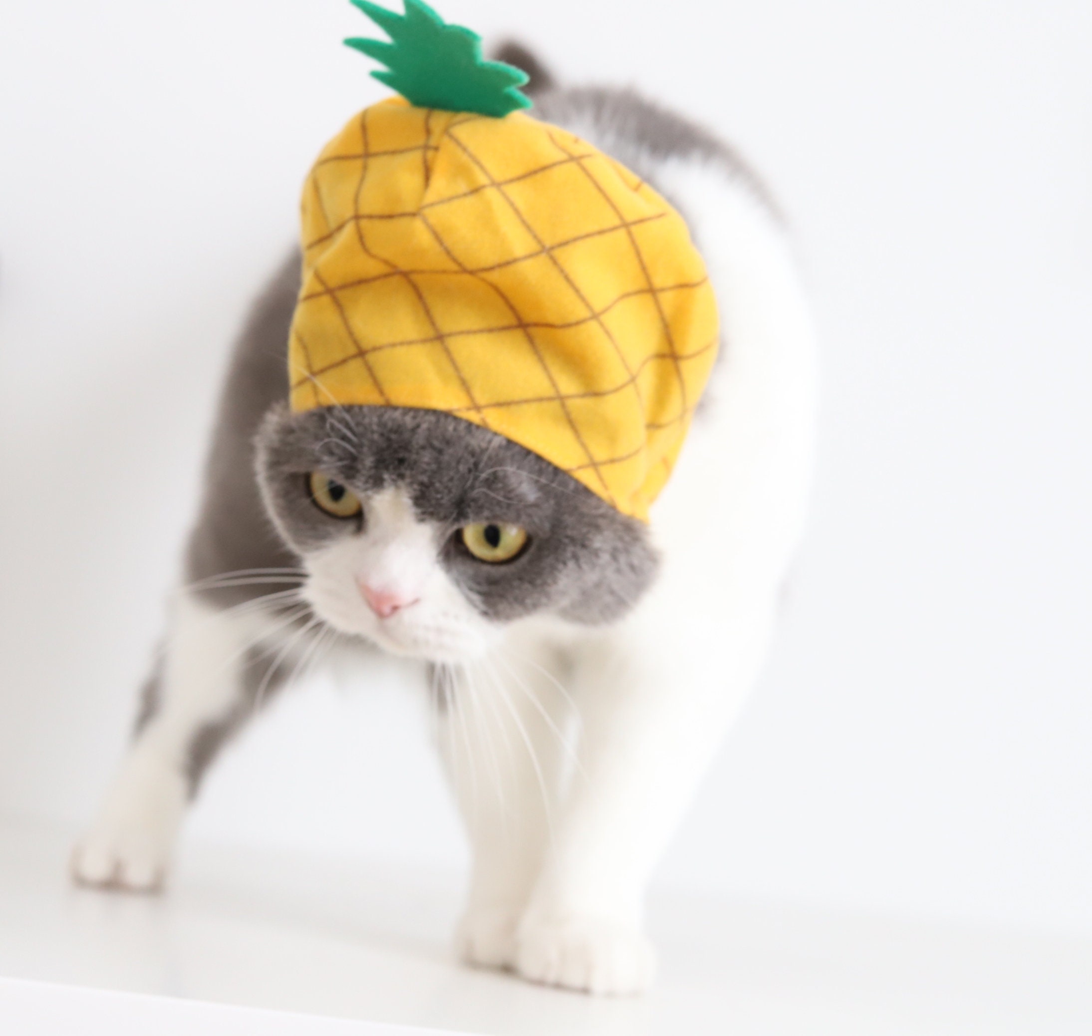 Pineapple top cat costume