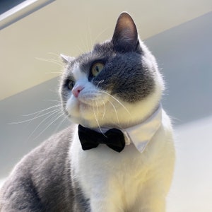 cat wedding bow tie / dog wedding bow tie / pet wedding attire bow tie for  pet groomsman / pet costume adjustable formal bow tie collar