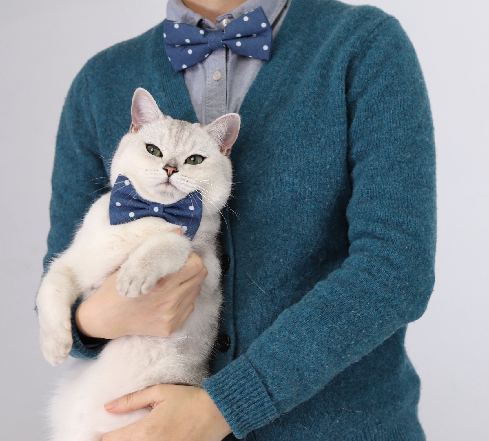 Cat Dog Human Bow Collar Set Kitten Bow Tie Gentleman Wedding Etsy UK