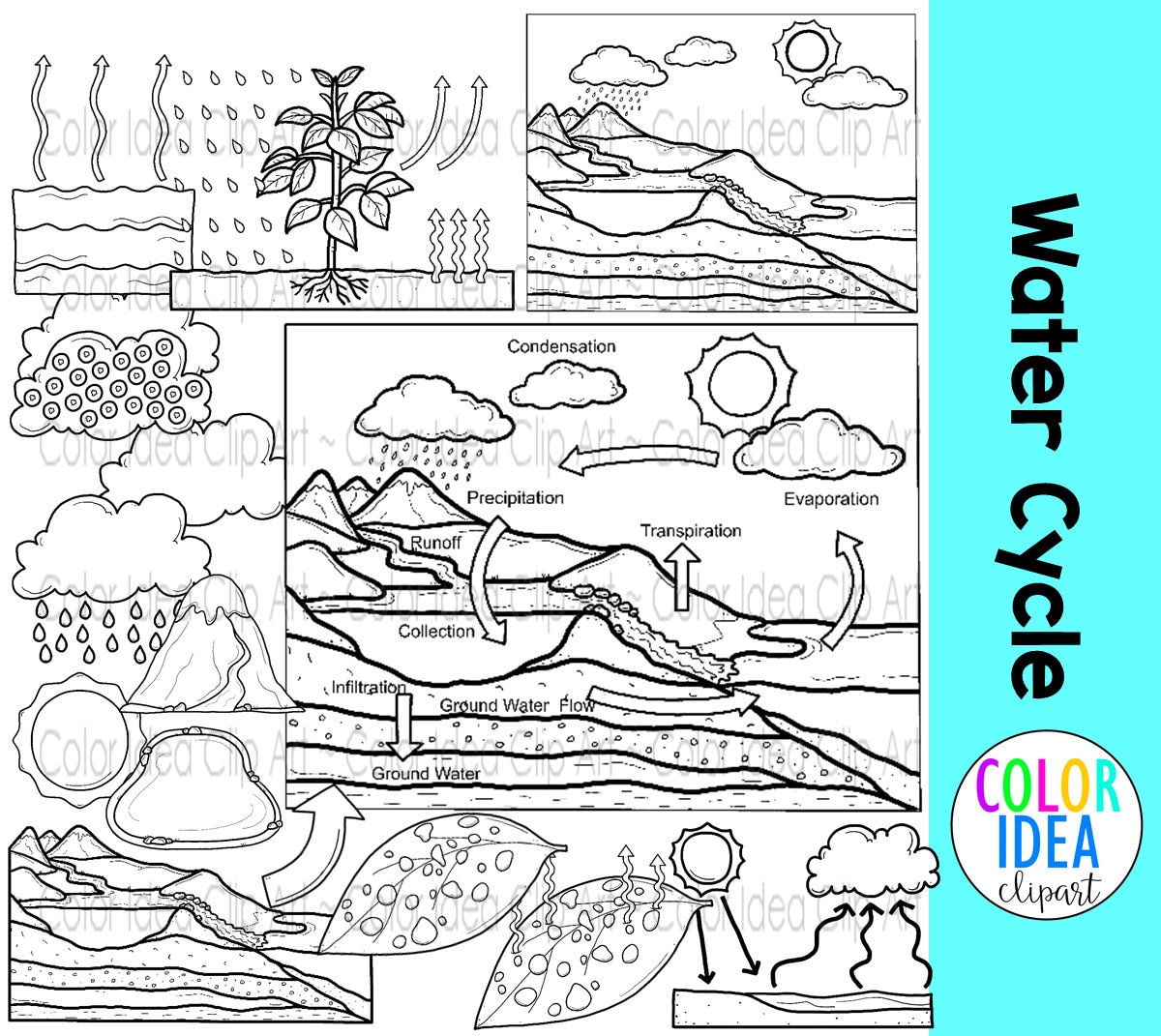 Water Cycle Coloring Page