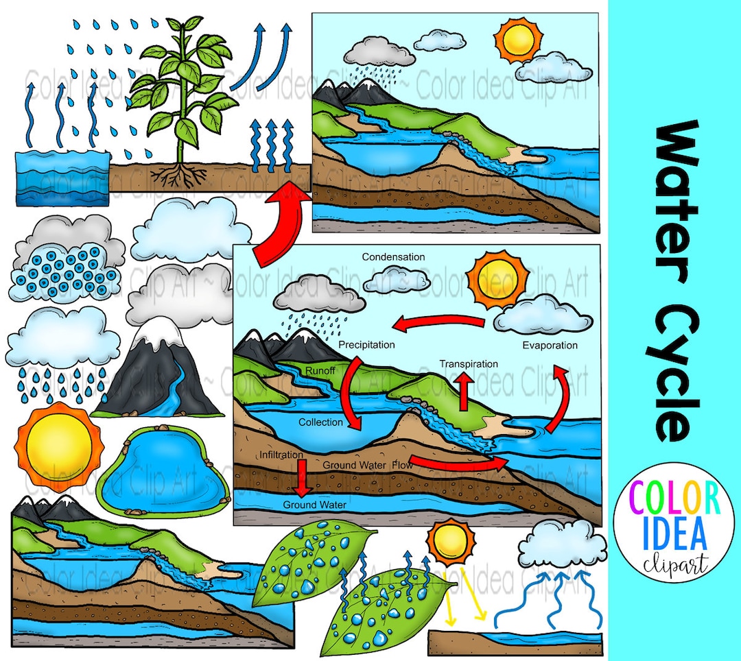 Water Cycle, Water Cycle Clipart, Water Cycle Diagrams, Water Cycle