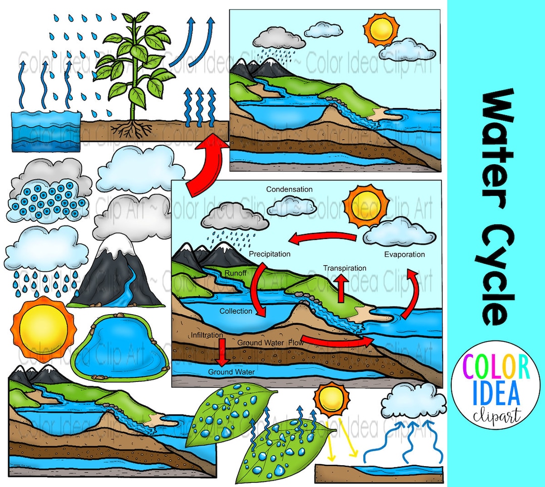 All About the Water Cycle Video Teaching Resources | ClickView