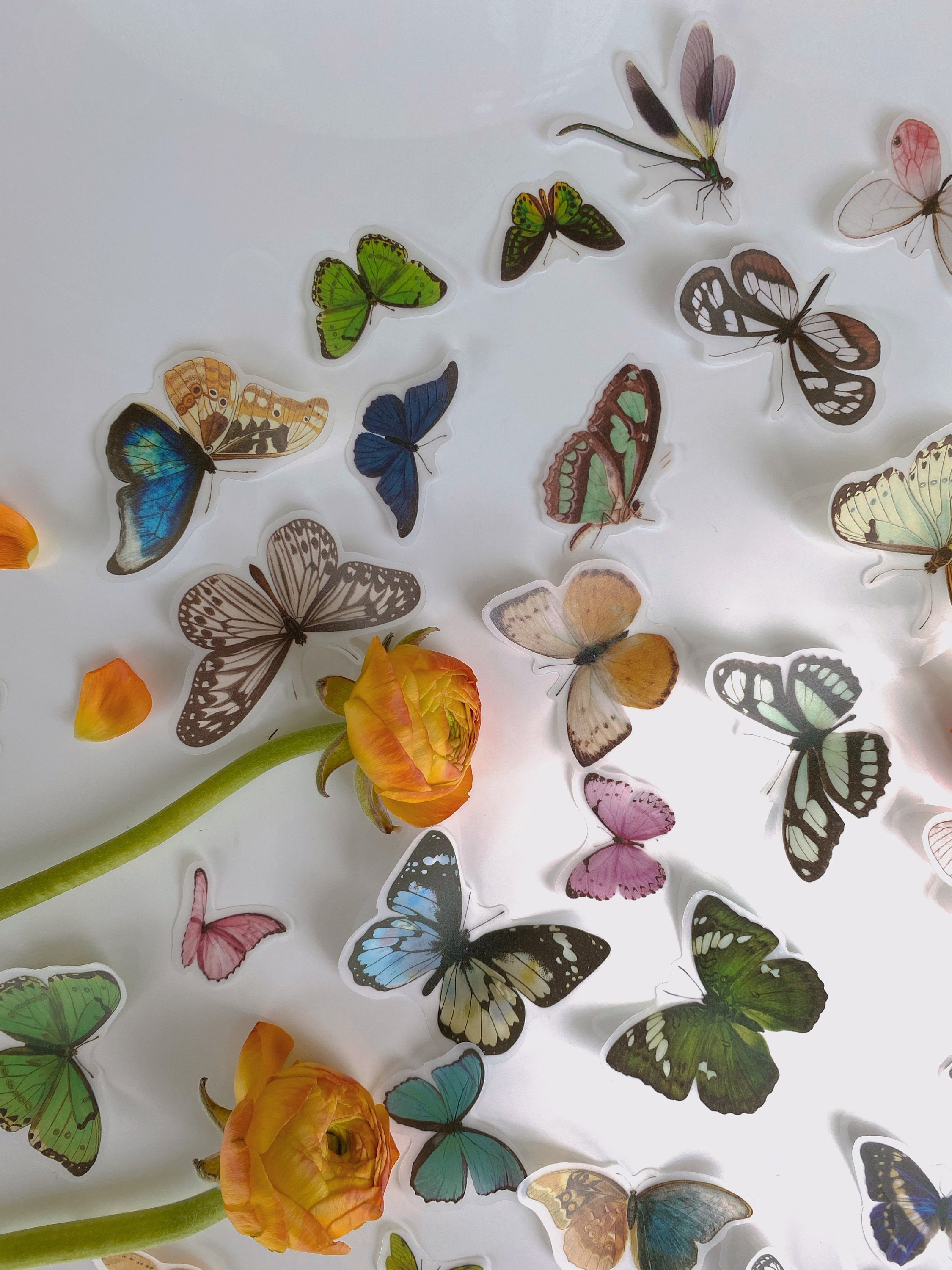 80pcsretro lifestyle butterfly sticker setscrapbook stickers etsy