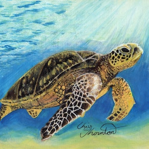 May include: A painting of a green sea turtle swimming in blue water. The turtle is facing right and has a light brown shell with dark brown markings. The water is clear and you can see the sun shining through it.