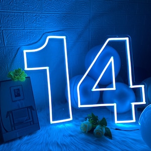 Number Neon Sign Custom Birthday Decor, LED Neon Light Party Decor, Led Neon Sign Party Decoration, 21st Birthday Decor,  Personalized Gifts