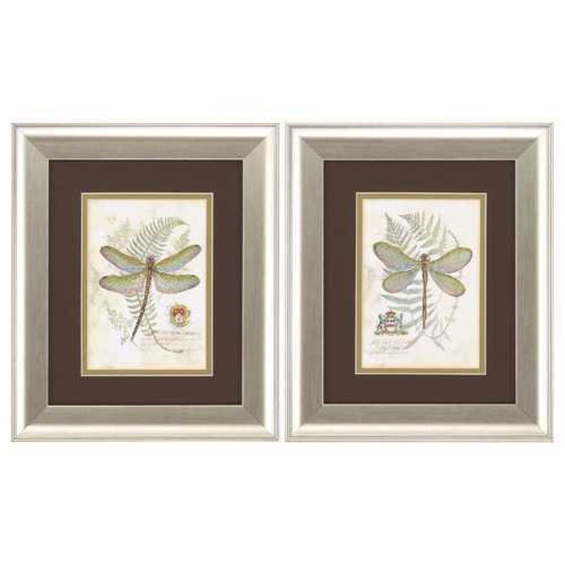 11 X 13 Brushed Silver Frame Dragonfly set Of 2 Etsy