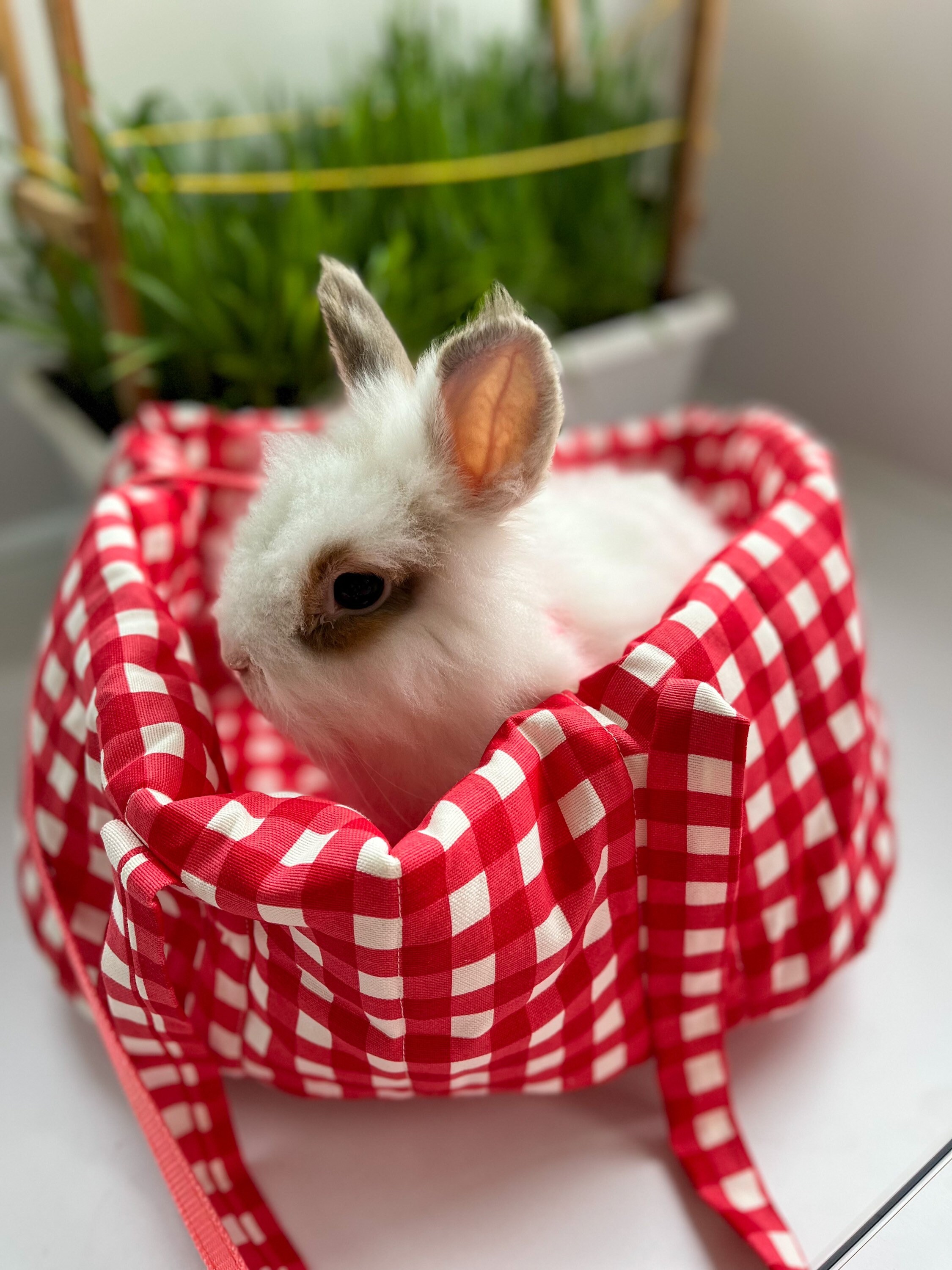 Rabbit Carrier Snuggle Bunny Bed Rabbit House Bunny House Purse Carrier