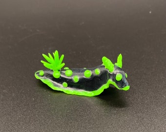 Phantom Sea Slug Glow in the Dark