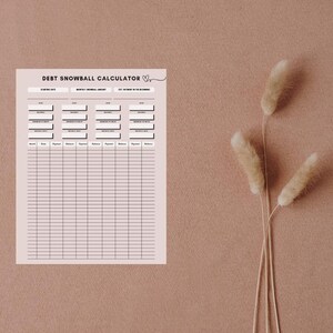 Debt Snowball Tracker | Printable Debt Payoff Worksheet | Debt History | Financial Planner PDF | Digital Download | PDF | Money | Payoff
