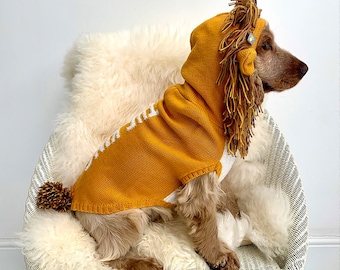 Lion Dog Jumper