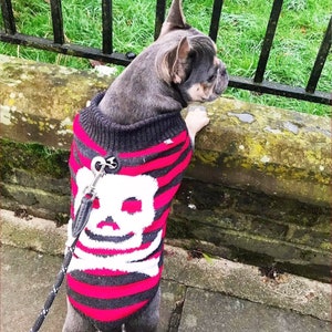 Skull Dog Jumper