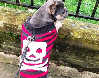 skull dog sweater