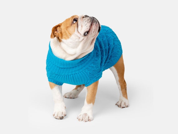Etsy dog shop jumper
