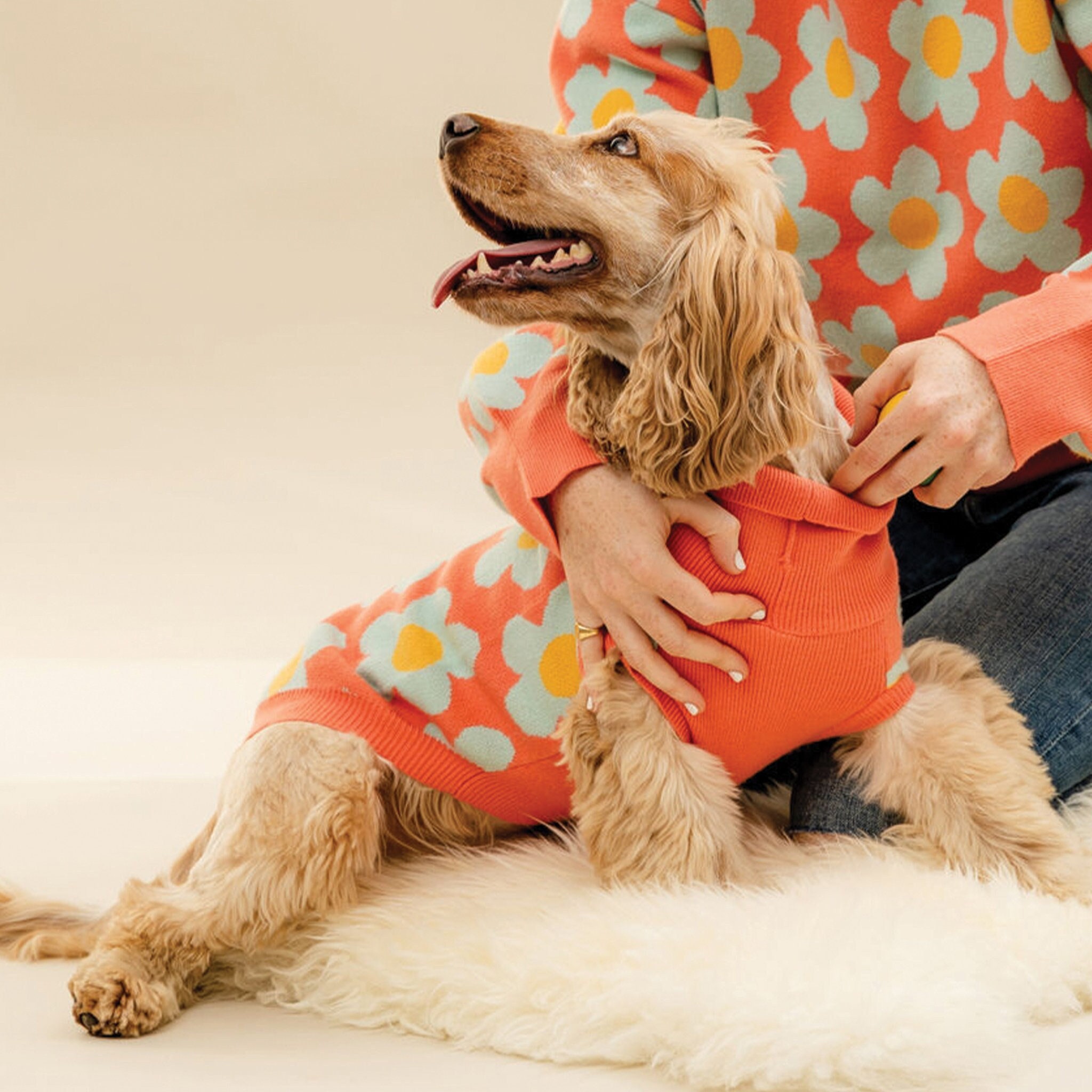Hotdog Orangeflower Dog Jumper