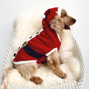 Dog Santa Christmas Jumper