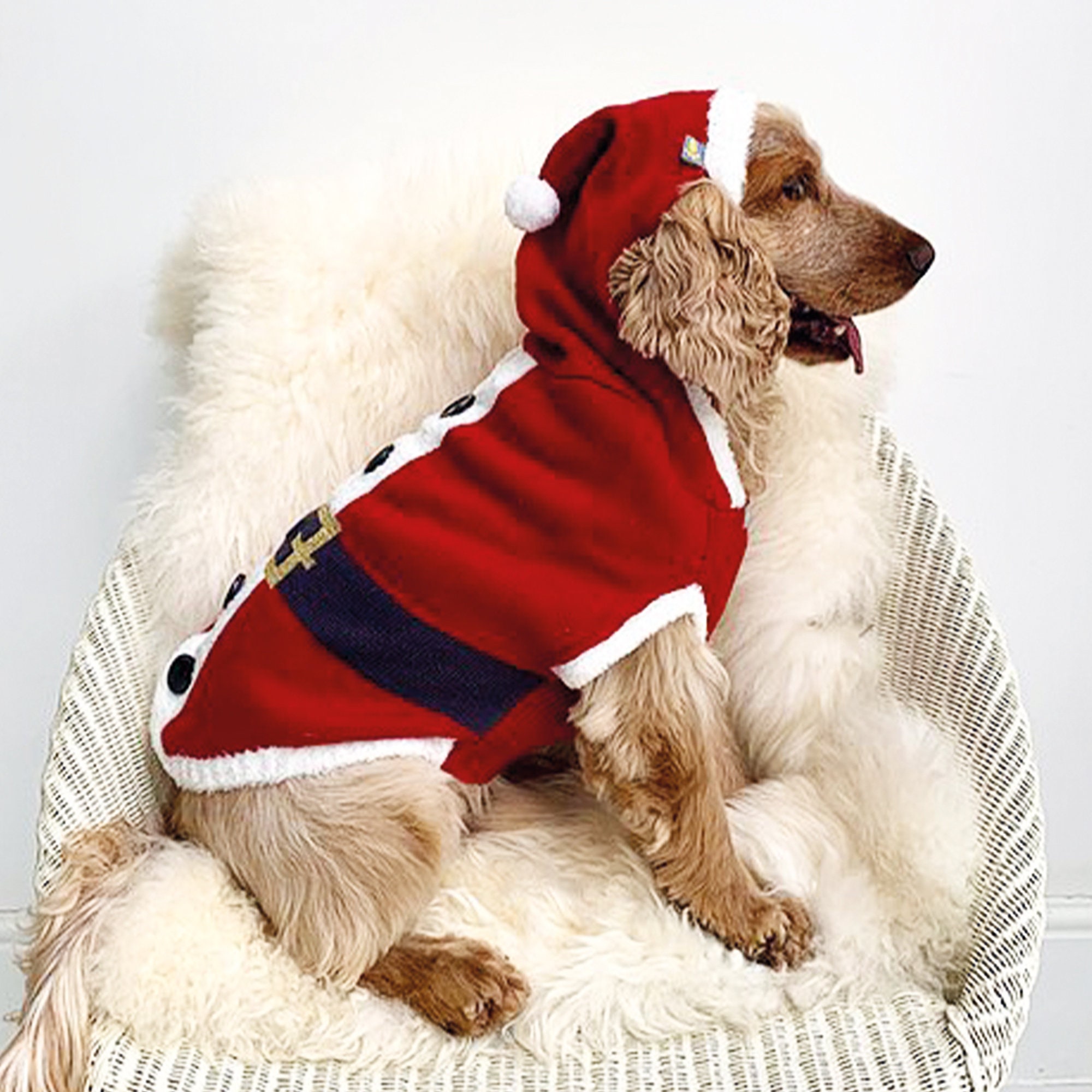 vertel het me Overtreding Afdeling Hond kerst outfit - Etsy Nederland