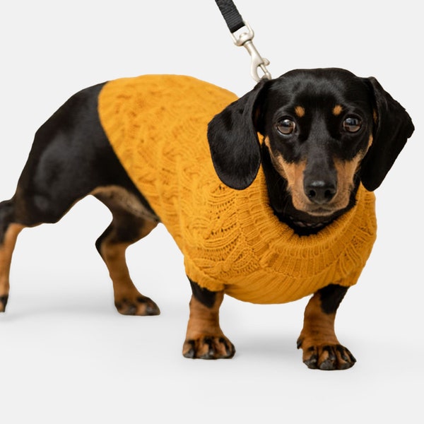 Hotdog Mustard Mini Dachshund Jumper